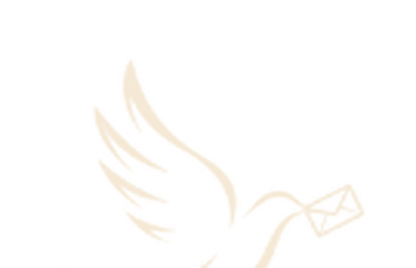 Paigaam dove
